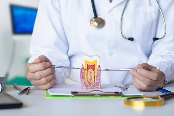 Best Emergency Dentist for Special Needs Patients in River Heights, UT